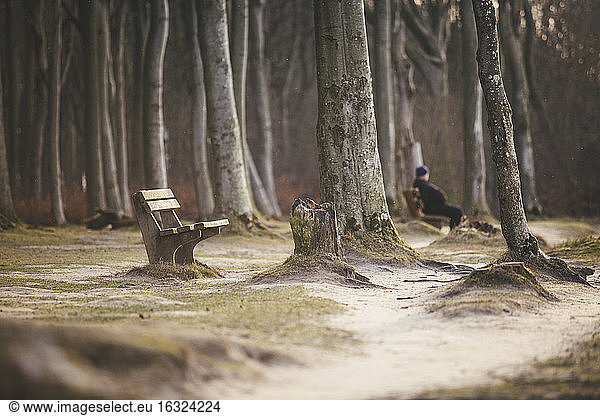 Germany  Nienhagen  empty bench in the woods and man sitting in the background