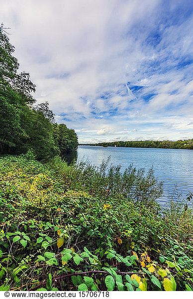 Germany  North Rhine-Westphalia  Dusseldorf  Unterbach  Landscape with lake