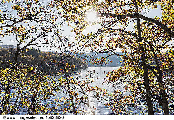Germany  North Rhine-Westphalia  Einruhr  Autumn trees against sun shining over Obersee lake