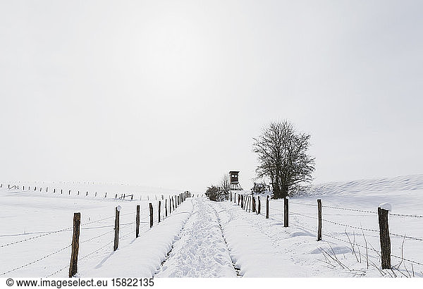 Germany  North Rhine-Westphalia  Fences along snow-covered road in High Fens - Eifel Nature Park