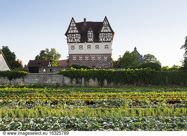 Germany  Nuremberg  Neunhof  view to Neunhof Castle with vegetable fields in the foreground
