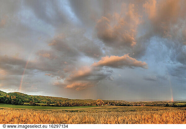 Germany  Rhineland-Palatinate  Neuwied  Rommersdorf  field and thundercloud in summer