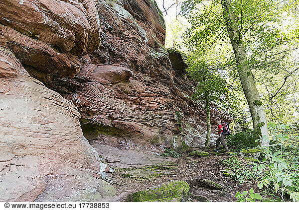 Germany  Rhineland-Palatinate  Senior hiker climbing up trail along red sandstone rock formation in Palatinate Forest