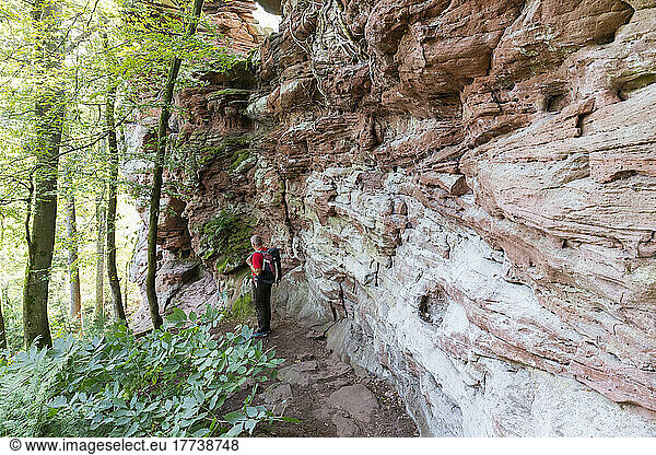 Germany  Rhineland-Palatinate  Senior hiker on trail along red sandstone rock formation in Palatinate Forest