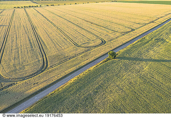 Germany  Saxony-Anhalt  Aerial view of country road cutting through fields in Harz