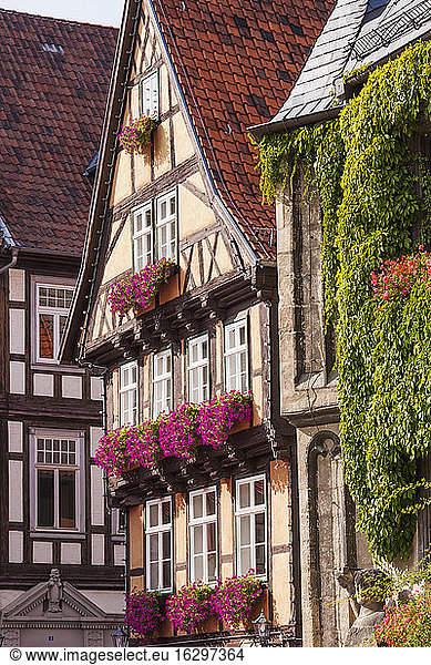 Germany  Saxony-Anhalt  Quedlinburg  Timber-framed houses