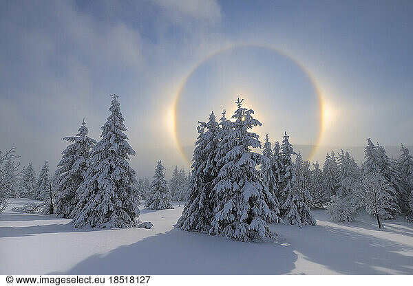 Germany  Saxony  Halo around sun setting over snow-covered forest in Erzgebirge range