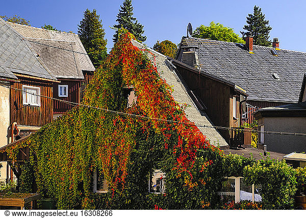 Germany  Saxony  Hinterhermsdorf  Overgrown house