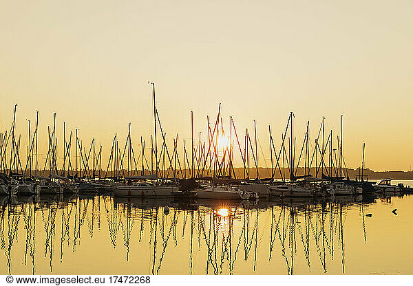 Germany  Saxony  Leipzig  Silhouettes of sailboats moored in Cospudener See lake marina at sunset