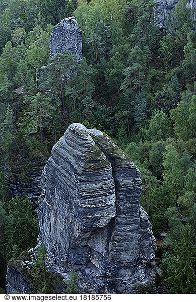 Germany  Saxony  Steep rock formations in Saxon Switzerland National Park