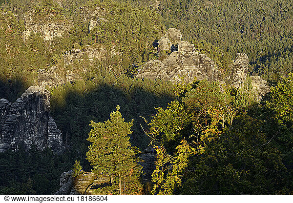 Germany  Saxony  View from Bastei viewpoint