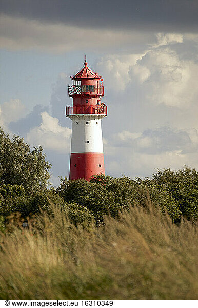 Germany  Schleswig-Holstein  Flensburg Fiord  Lighthouse Falshoft