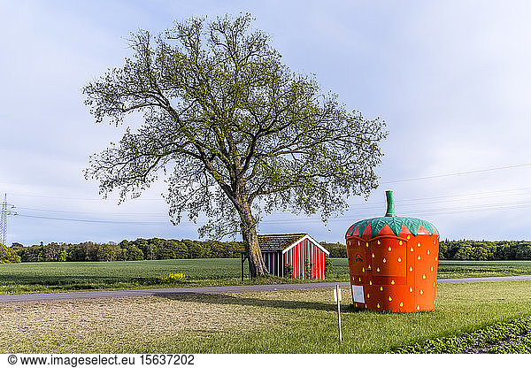 Germany  Schleswig-Holstein  Holstein Switzerland  Strawberry-shaped stall standing by empty countryside road