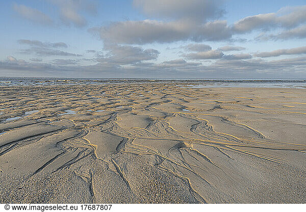 Germany  Schleswig-Holstein  Hornum  Sandy beach of Hornum Odde reserve at dawn