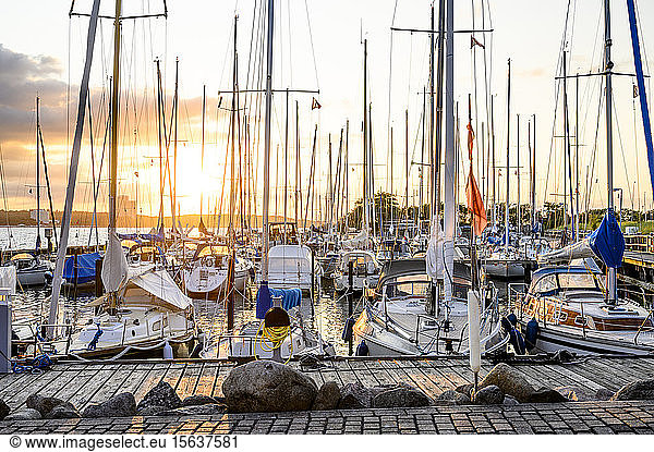 Germany  Schleswig-Holstein  Niendorf  Various boats moored in harbor at sunset