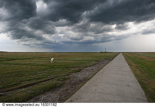 Germany  Schleswig-Holstein  North Sea  Thunderstorm over the Lighthouse Westerheversand