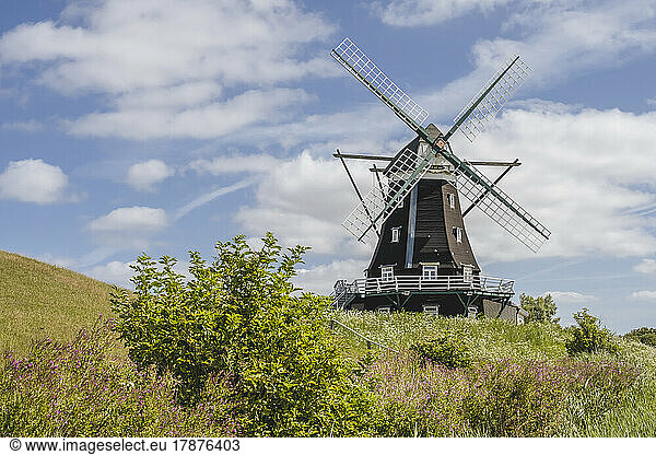Germany  Schleswig-Holstein  Pellworm  Nordermuhle mill in spring