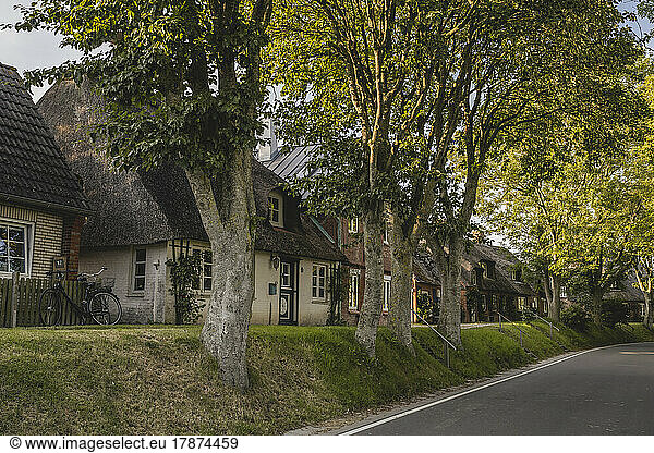 Germany  Schleswig-Holstein  Pellworm  Rustic houses in Tilli