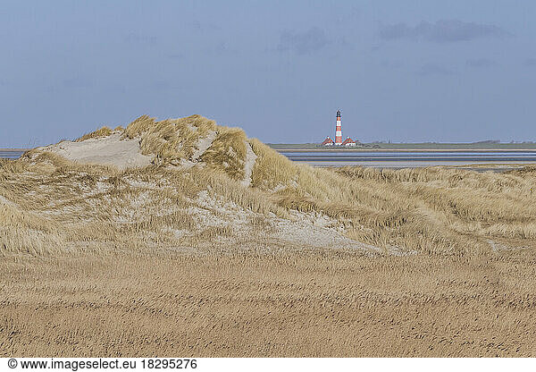 Germany  Schleswig-Holstein  St. Peter-Ording  Beach dunes with Westerheversand Lighthouse in background