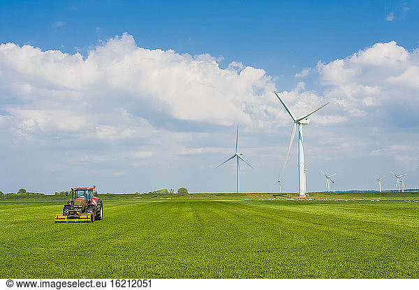 Germany  Schleswig-Holstein  View of agricultureal harvesting