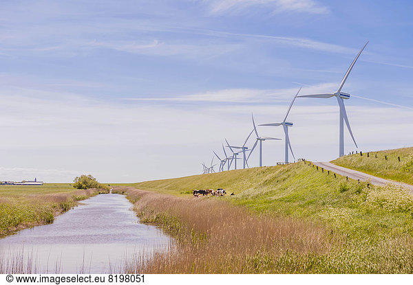 Germany  Schleswig-Holstein  View of wind turbine in fields