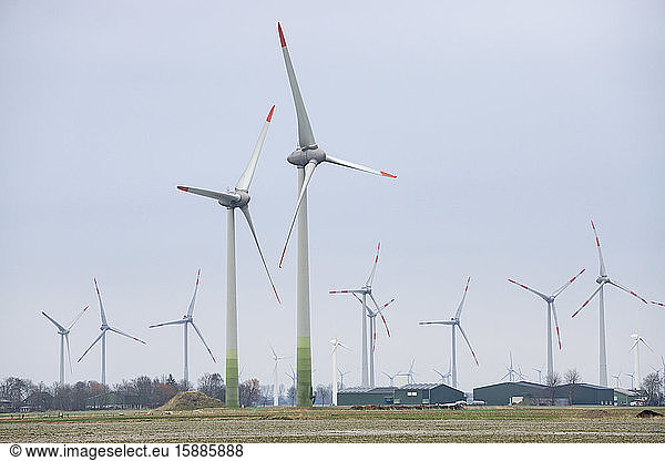 Germany  Schleswig-Holstein  Wind farm turbines standing against clear sky