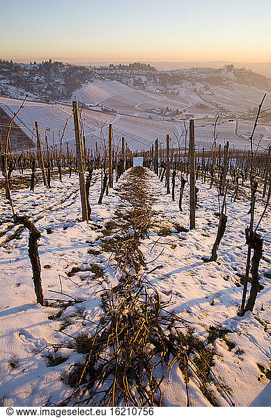 Germany  Stuttgart  snow covered vineyard terraces