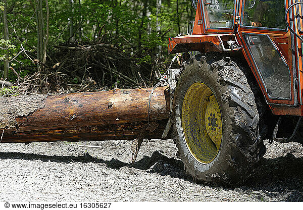 Germany  Tractor with felled tree