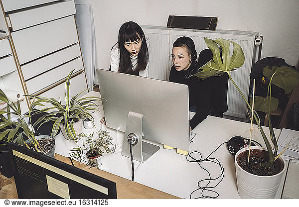Geschäftsfrauen  die am Computer am Arbeitsplatz arbeiten