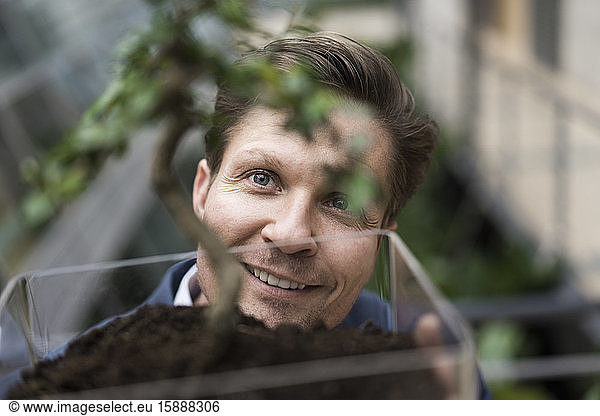 Geschäftsmann beobachtet Grünpflanze beim Wachsen