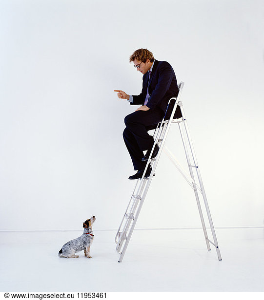 Geschäftsmann in dunklem Anzug sitzt drinnen auf einer Leiter  Lehrhund sitzt auf dem Boden.