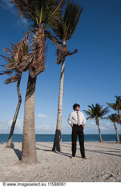 Geschäftsmann steht bei Palme am Strand