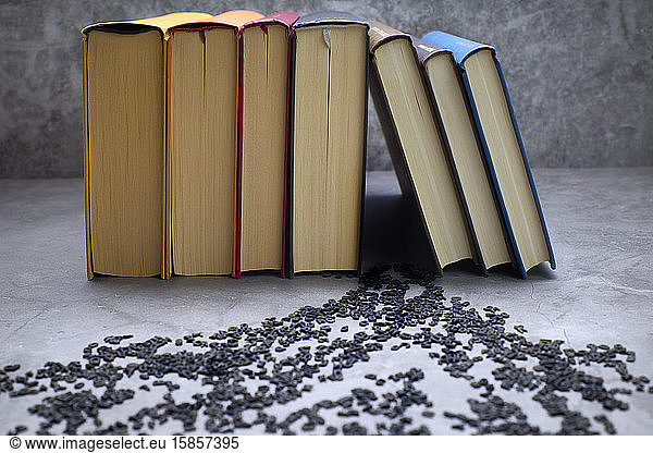 Geschlossene Bücher  die ihre Seitenbriefe verloren haben. Begriff der Bildung