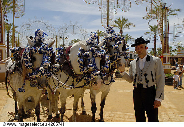 Geschmückte Pferde   Feria de Caballo   Jerez de la Frontera   Cadiz   Andalusien   Spanien   Europa