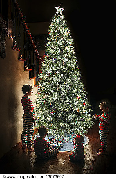Geschwister am Weihnachtsbaum zu Hause