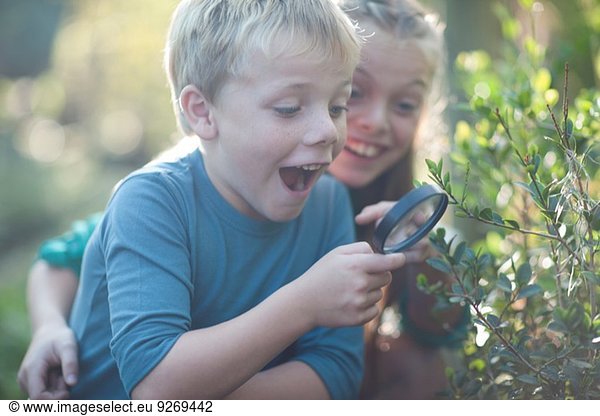 Geschwister entdecken Pflanzen mit Lupe im Garten