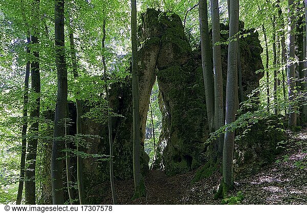 Gesteinig-Felsentor Durchgangshöhle  mystisch  Weiler Türkelstein  Ortsteil von Gößweinstein  Oberfranken  Franken  Bayern  Deutschland  Europa