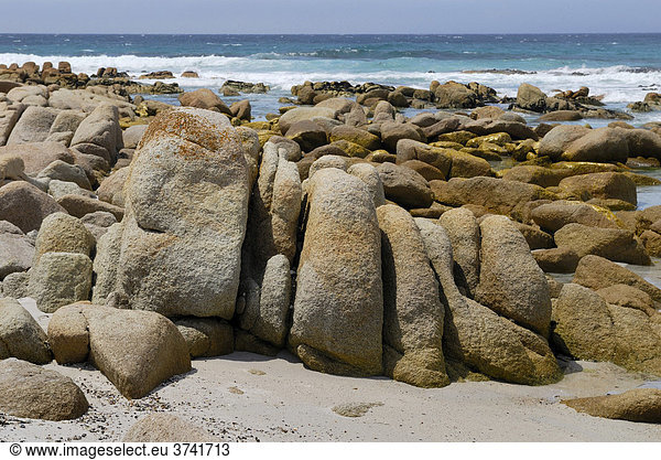 Gesteinsformation,  Friendly Beaches zwischen Bicheno und Coles Bay,  Tasmanien,  Australien