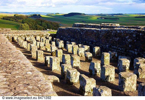 Getreidesilo Wand folgen britisch Festung Verbindung groß großes großer große großen England Northumberland römisch