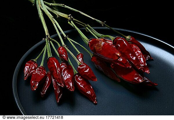Getrocknete Chilischoten an Bund (Capsicum) annuum