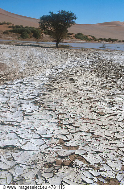 Getrockneter  rissiger Schlamm an einem See  Sossusvlei  Namibia  Afrika