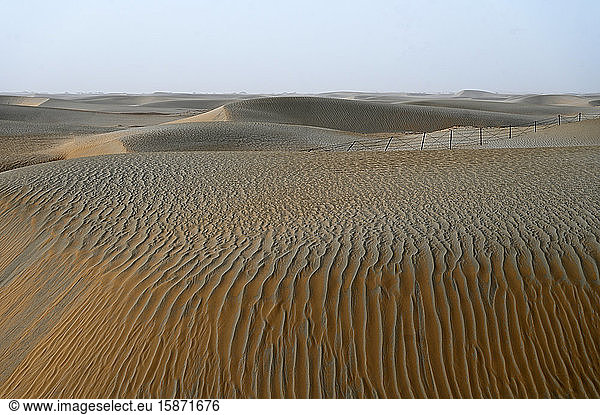 Gewellter  vom Wind verwehter Sand in der Wüste Taklamakan  Hotan  Region Xinjiang-Uigurien  China  Asien