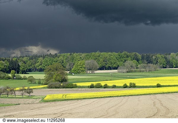 Gewitterwolken über Feldern  bei Altshausen  Oberschwaben  Baden-Württemberg  Deutschland  Europa