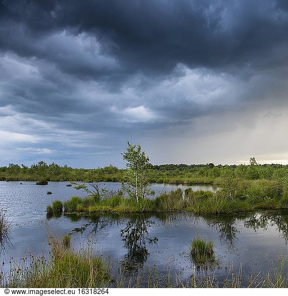 Gewitterwolken ziehen auf über dem Goldenstedter Moor  Wetter  bedrohlich  Oldenburger Münsterland  Niedersachsen  Deutschland  Europa