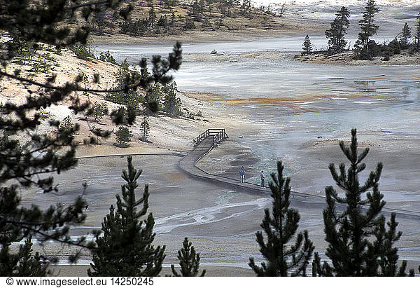Geyser basin loops  Yellowstone National Park  United States of America  America