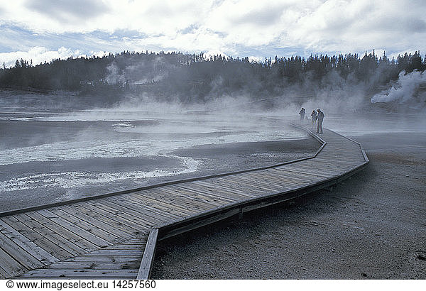 Geyser basin loops  Yellowstone National Park  United States of America  America