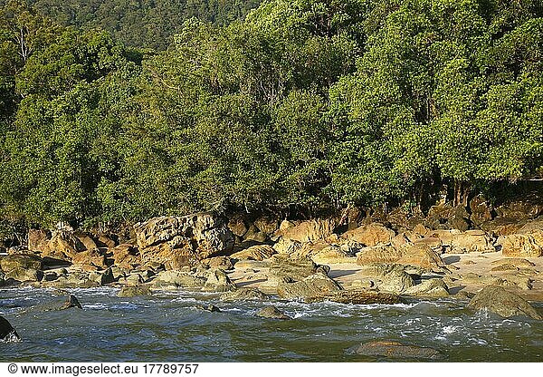 Gezeitenstrand mit Felsen und Regenwald  Permai Rainforest  Satubong  Südchinesisches Meer  Sarawak  Borneo  Malaysia  Asien