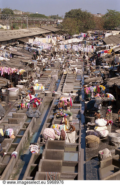 Ghat (Indien Dhobi oder Wäscheservice)  Mumbai (Bombay)  Indien  Asien