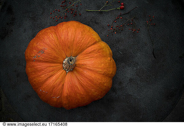Giant pumpkin and rose hips on rustic baking sheet