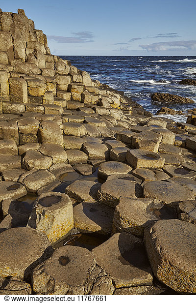 Giant's Causeway  UNESCO-Weltkulturerbe  Grafschaft Antrim  Ulster  Nordirland  Vereinigtes Königreich  Europa